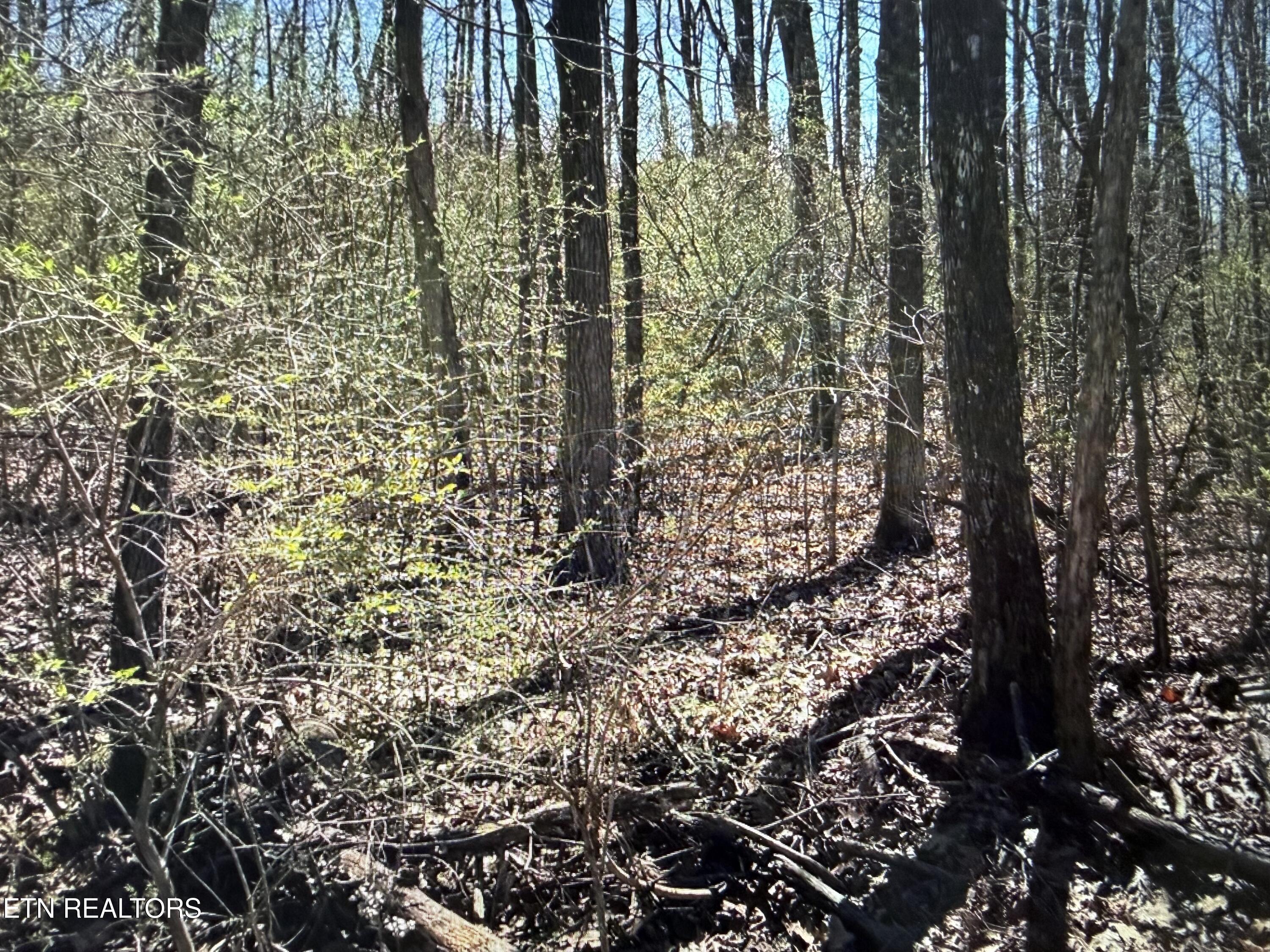 0 Tenth/knight Crossville TN 38555