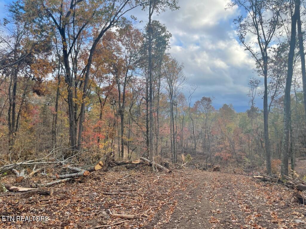 Cedar Grove Road Loudon TN 37774