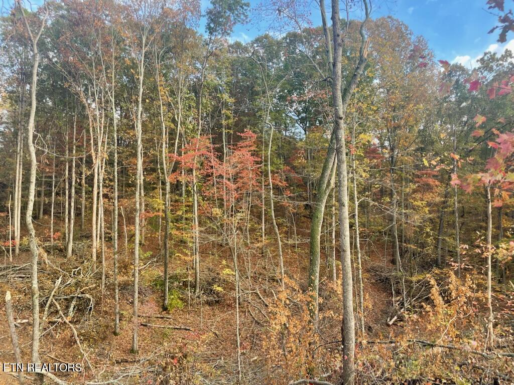 Cedar Grove Road Loudon TN 37774