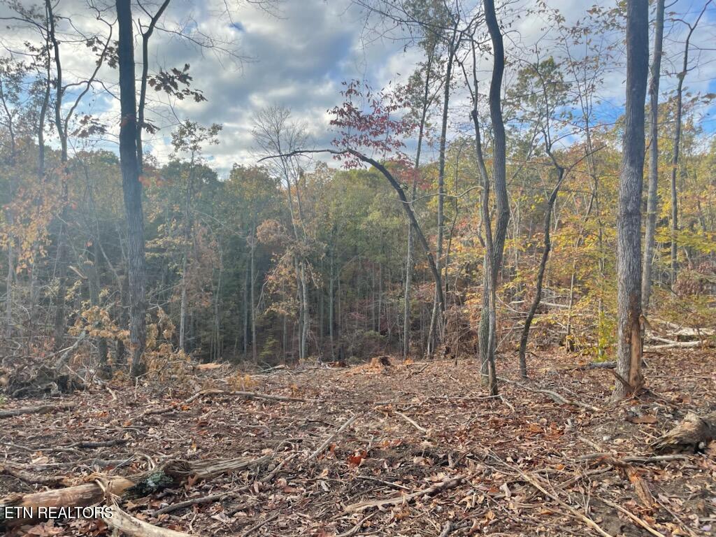 Cedar Grove Road Loudon TN 37774