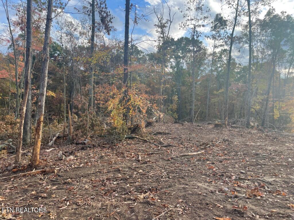 Cedar Grove Road Loudon TN 37774