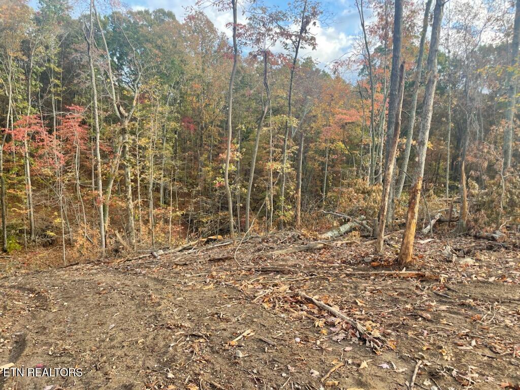 Cedar Grove Road Loudon TN 37774
