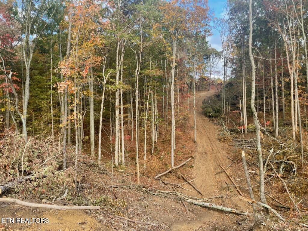 Cedar Grove Road Loudon TN 37774