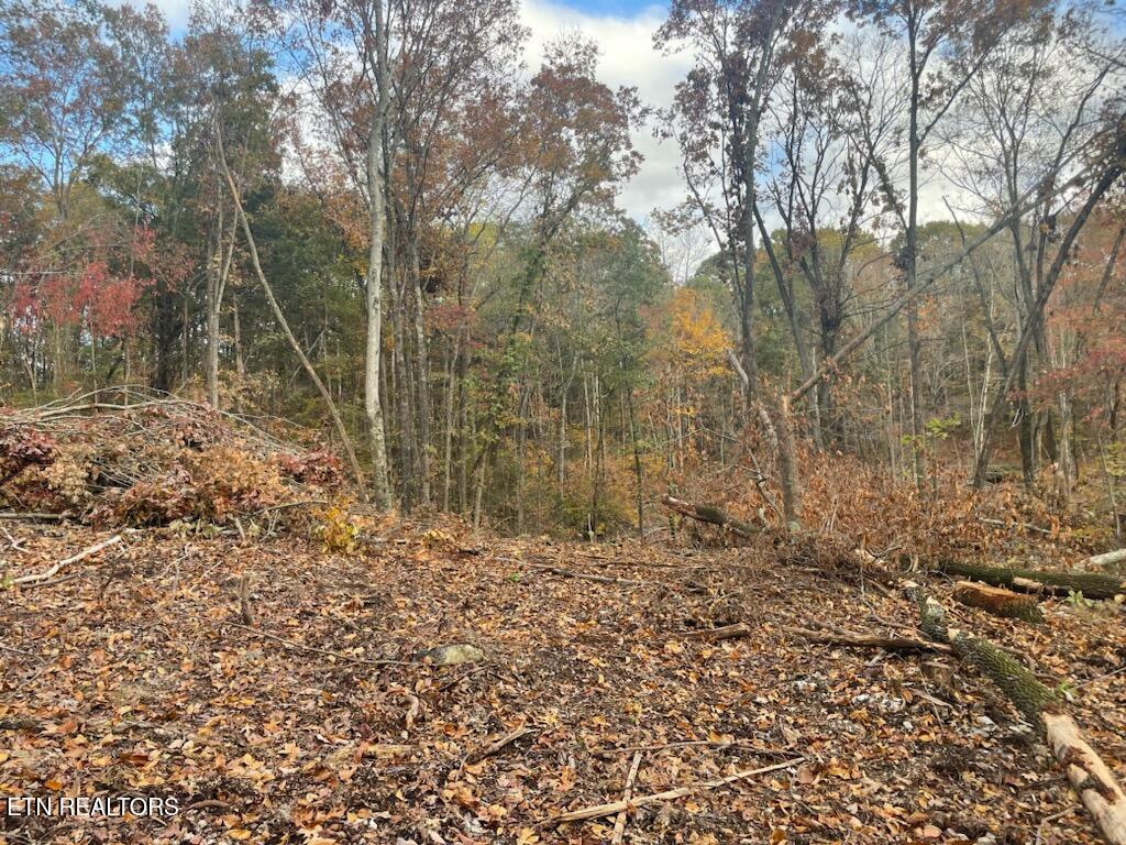 Cedar Grove Road Loudon TN 37774