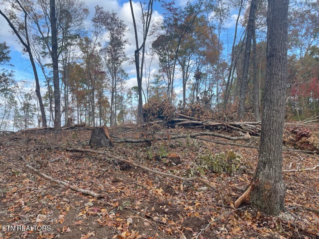 Cedar Grove Road Loudon TN 37774