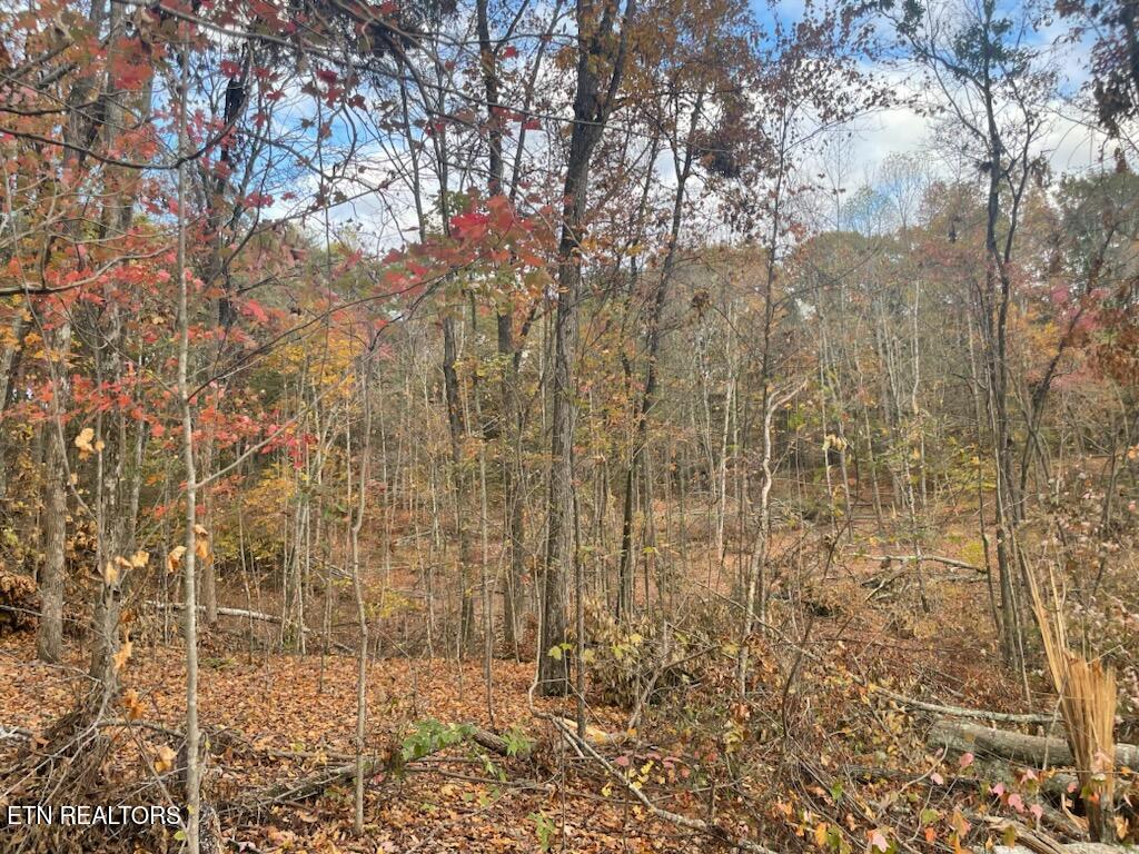 Cedar Grove Road Loudon TN 37774