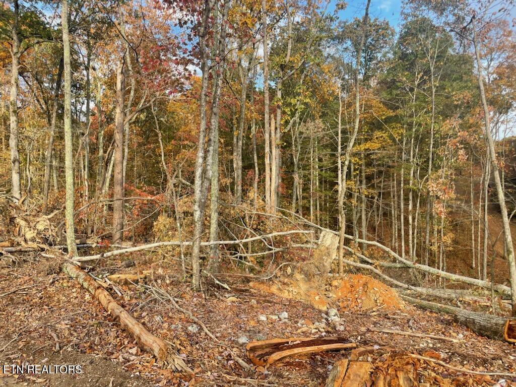 Cedar Grove Road Loudon TN 37774