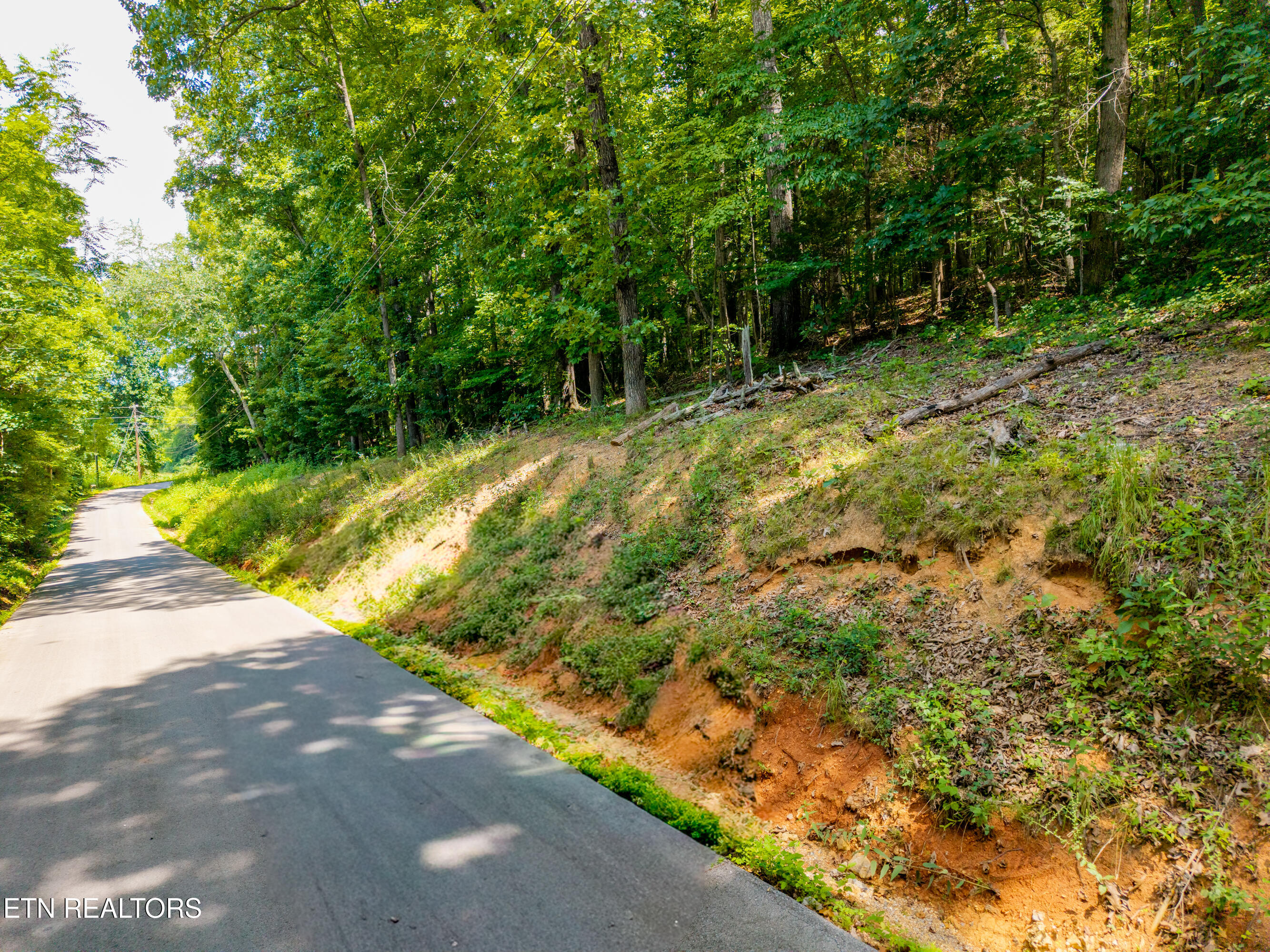 Lakescene Road Kingston TN 37763
