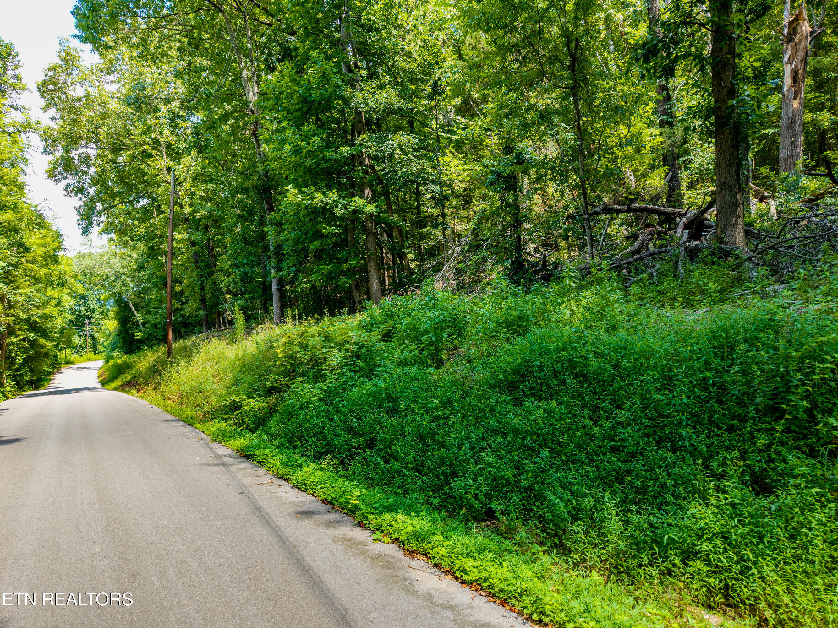 Lakescene Road Kingston TN 37763