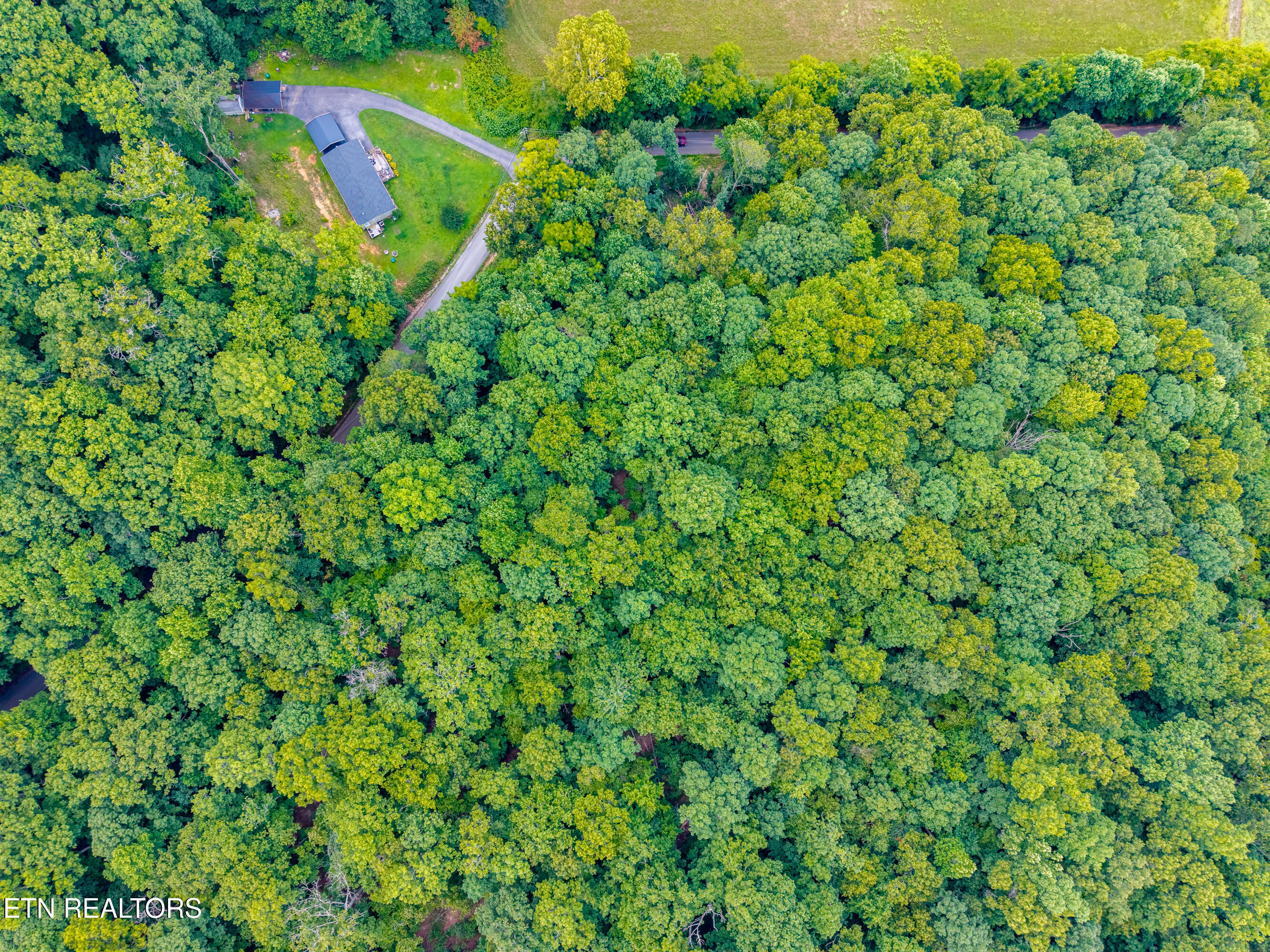 Lakescene Road Kingston TN 37763