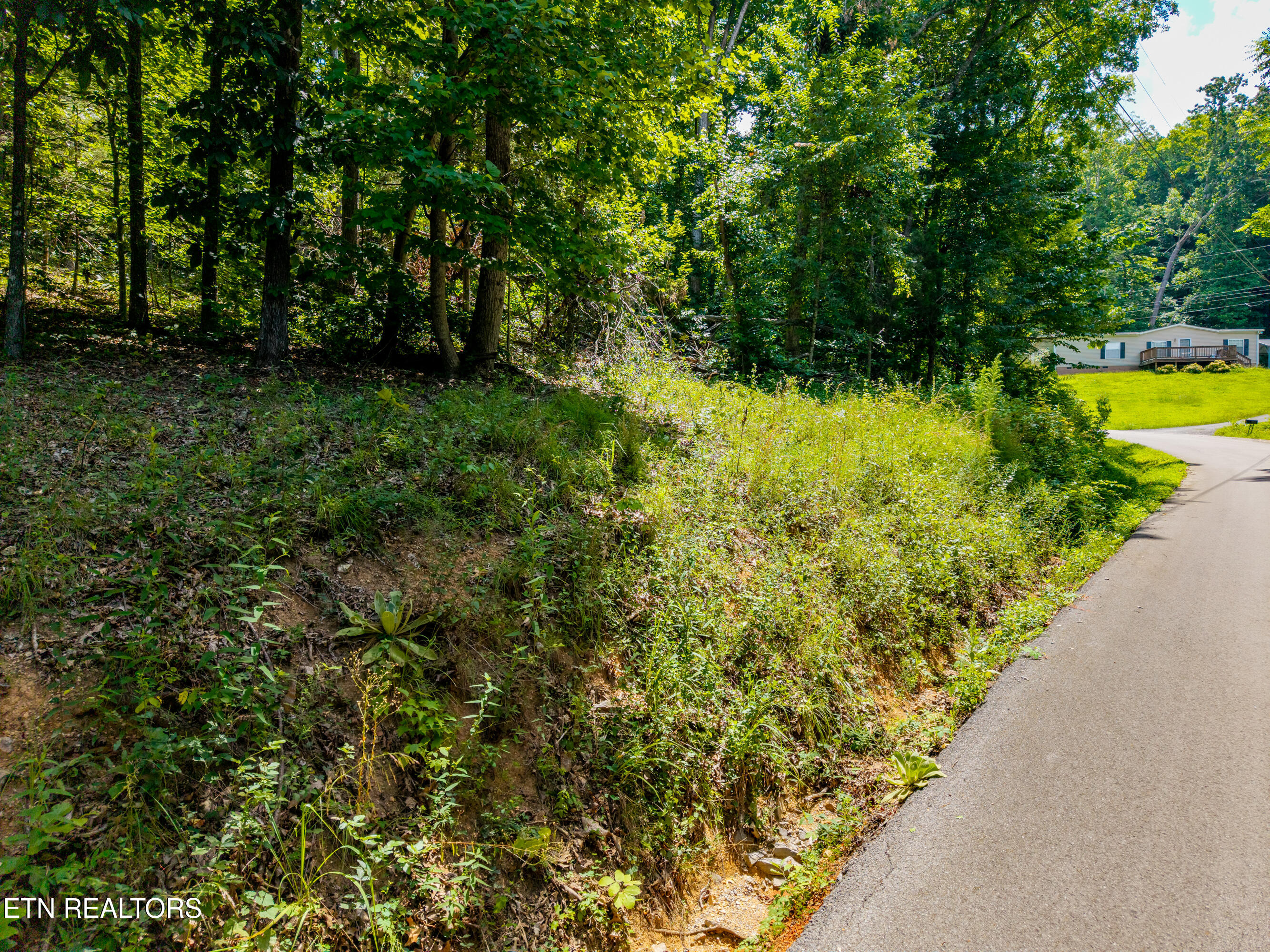Lakescene Road Kingston TN 37763