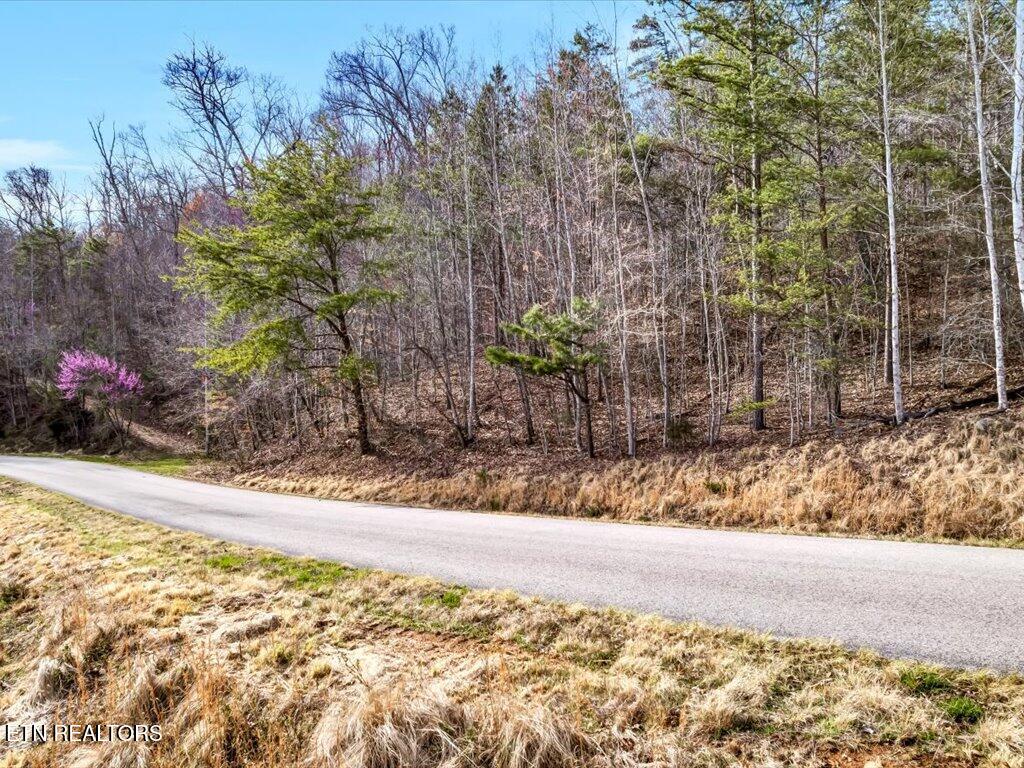 Lot 553 Whistle Valley Road New Tazewell TN 37825
