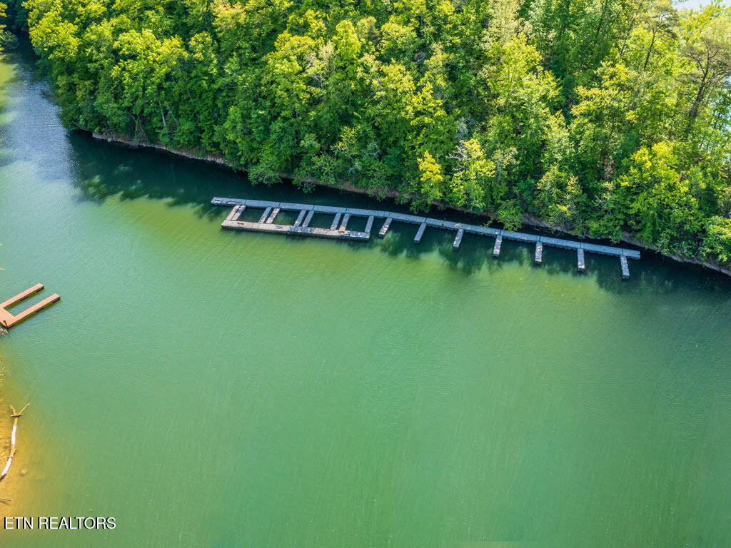 Lot 553 Whistle Valley Road New Tazewell TN 37825