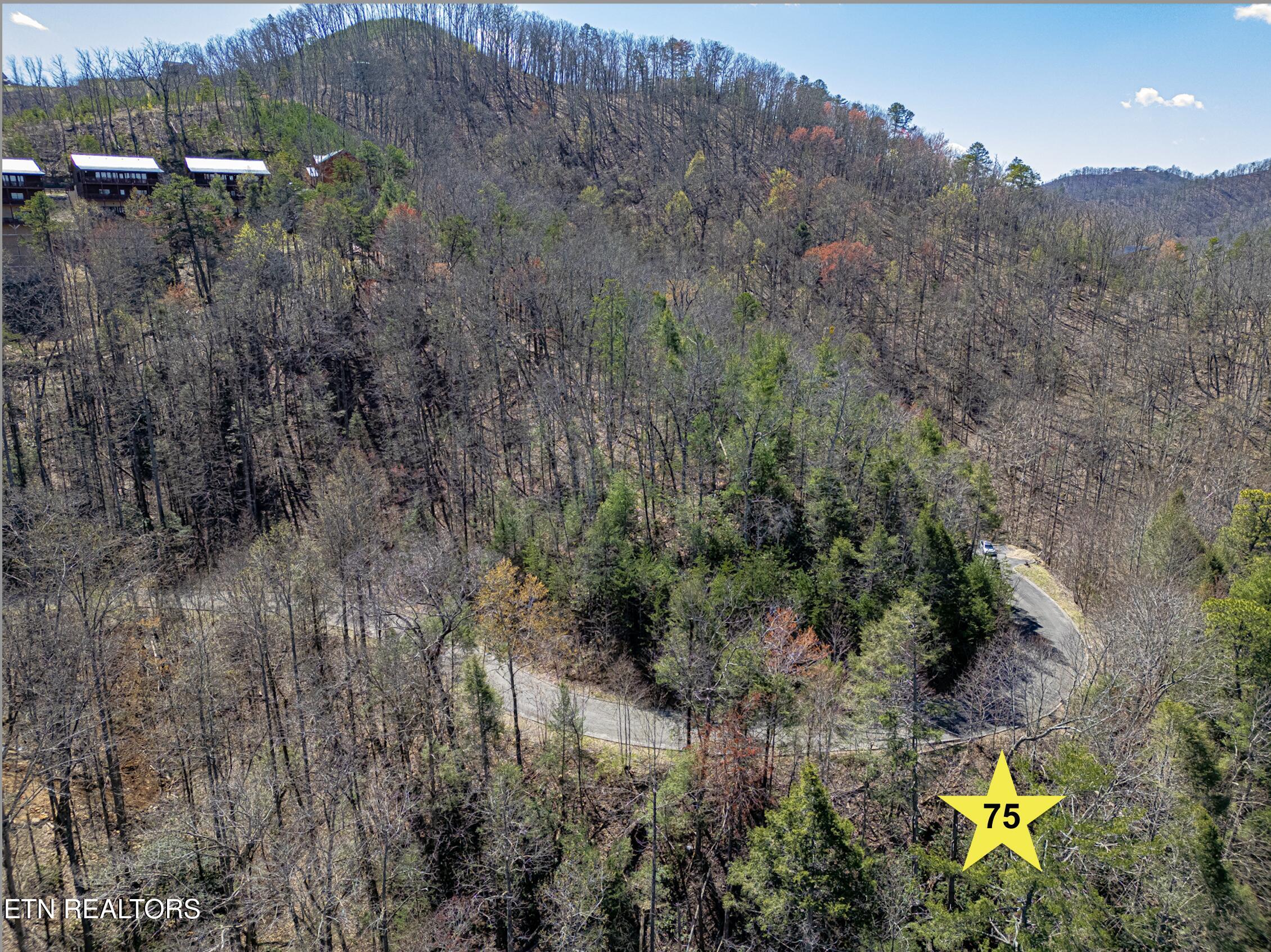 Lot 75 Smoky Ridge Way Sevierville TN 37862