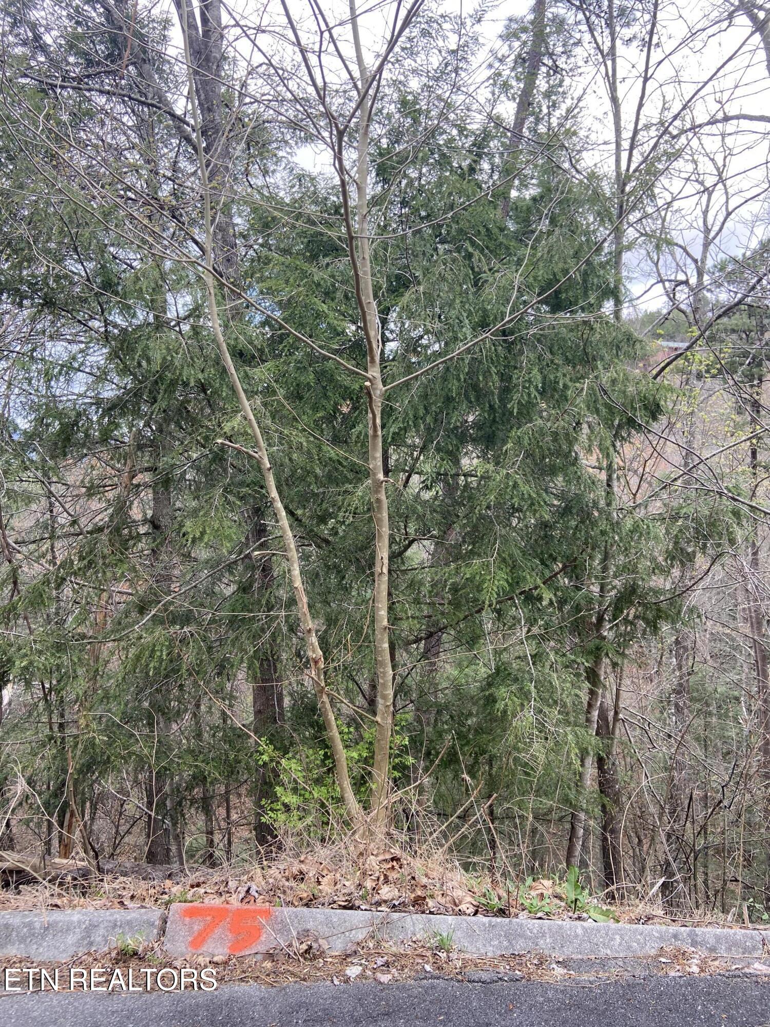 Lot 75 Smoky Ridge Way Sevierville TN 37862