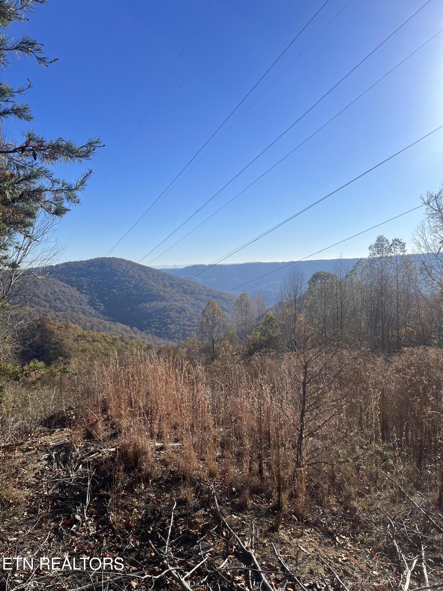 Hatfield Creek Road Newcomb TN 37819