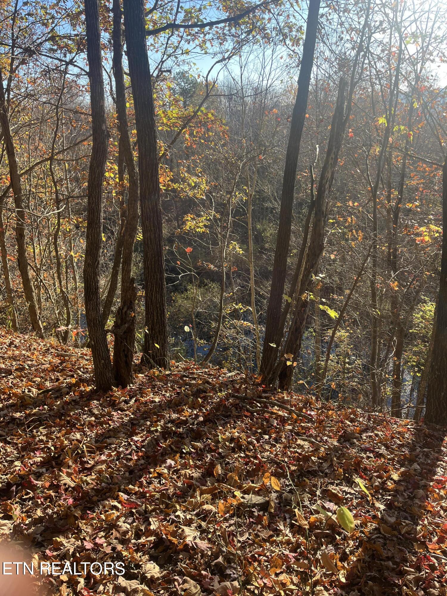 Hatfield Creek Road Newcomb TN 37819