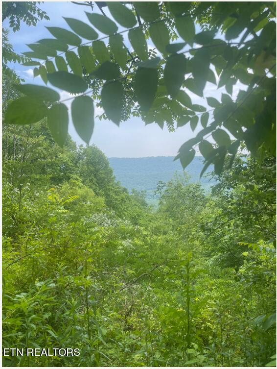 Hatfield Creek Road Newcomb TN 37819