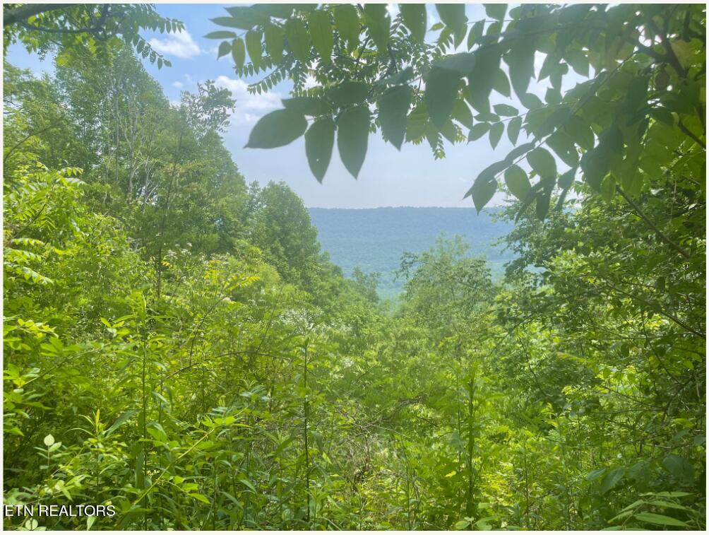 Hatfield Creek Road Newcomb TN 37819