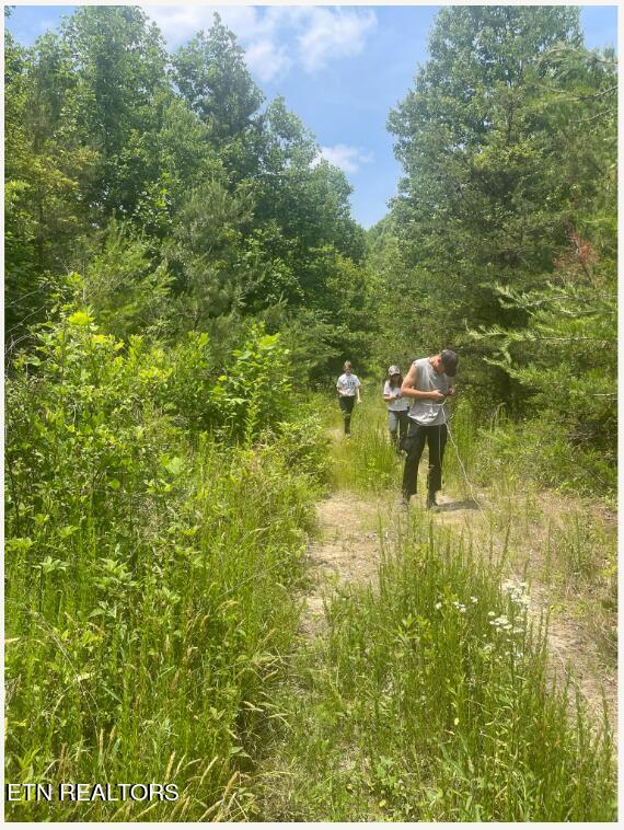 Hatfield Creek Road Newcomb TN 37819