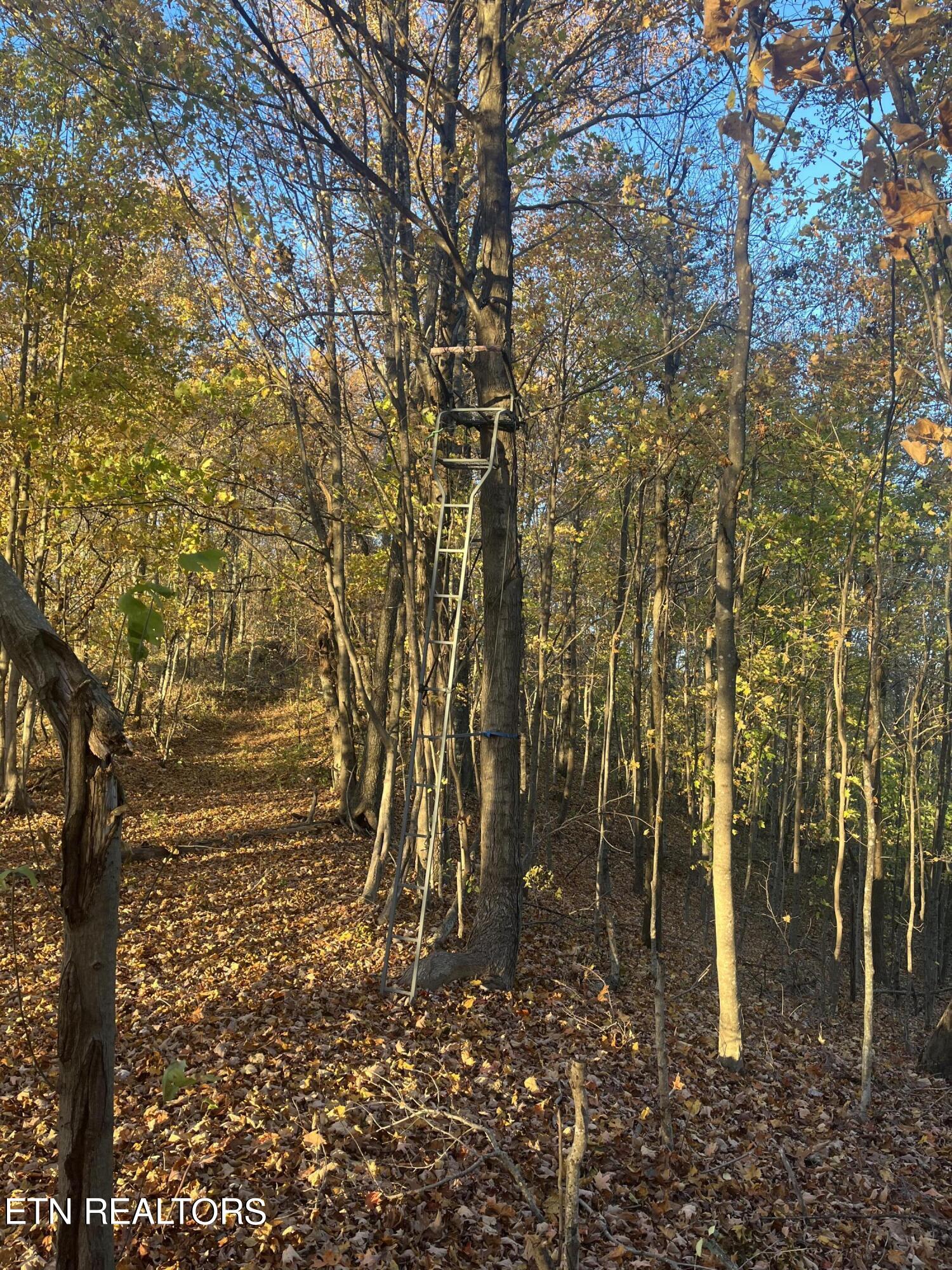 Hatfield Creek Road Newcomb TN 37819
