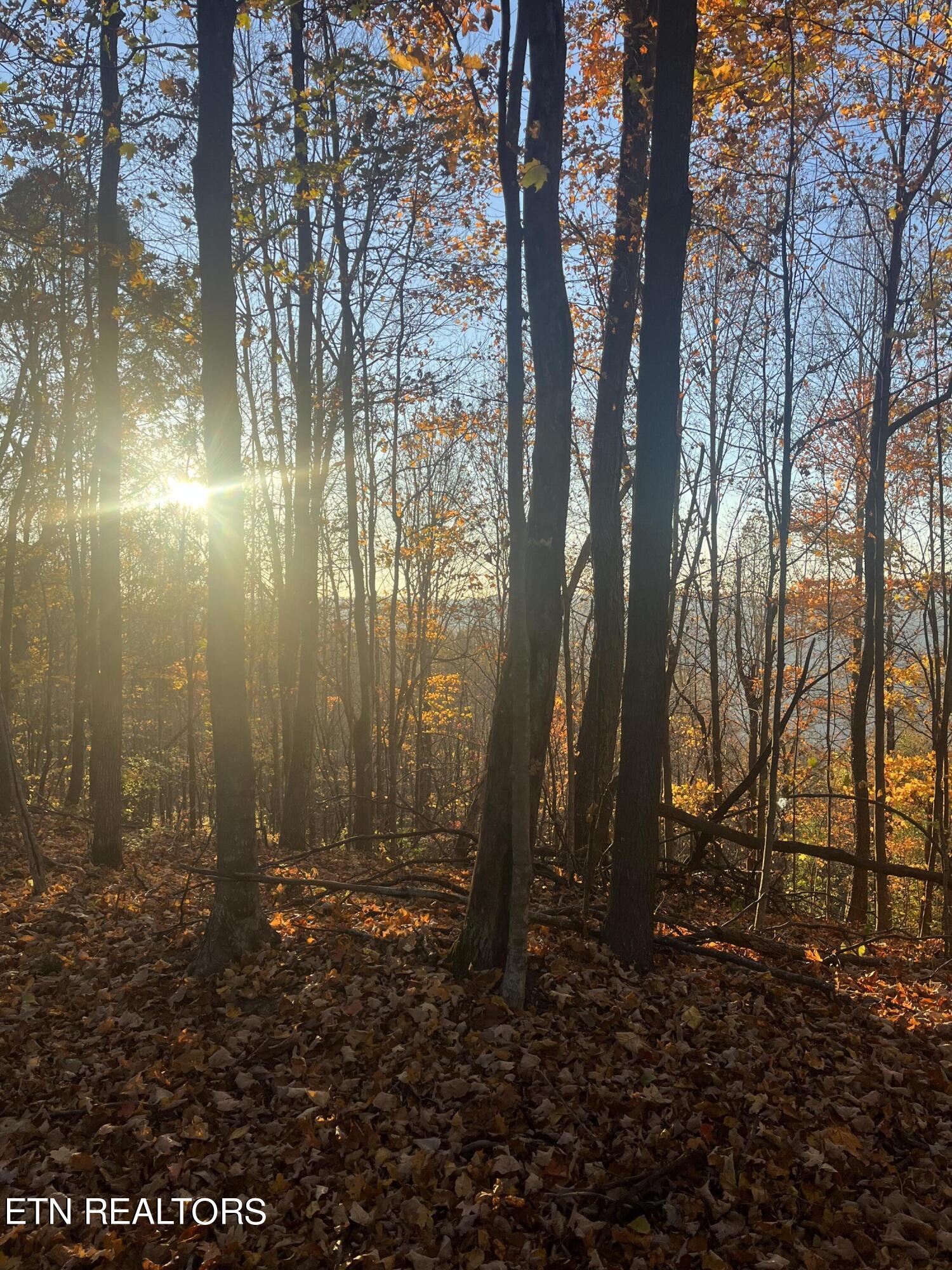 Hatfield Creek Road Newcomb TN 37819