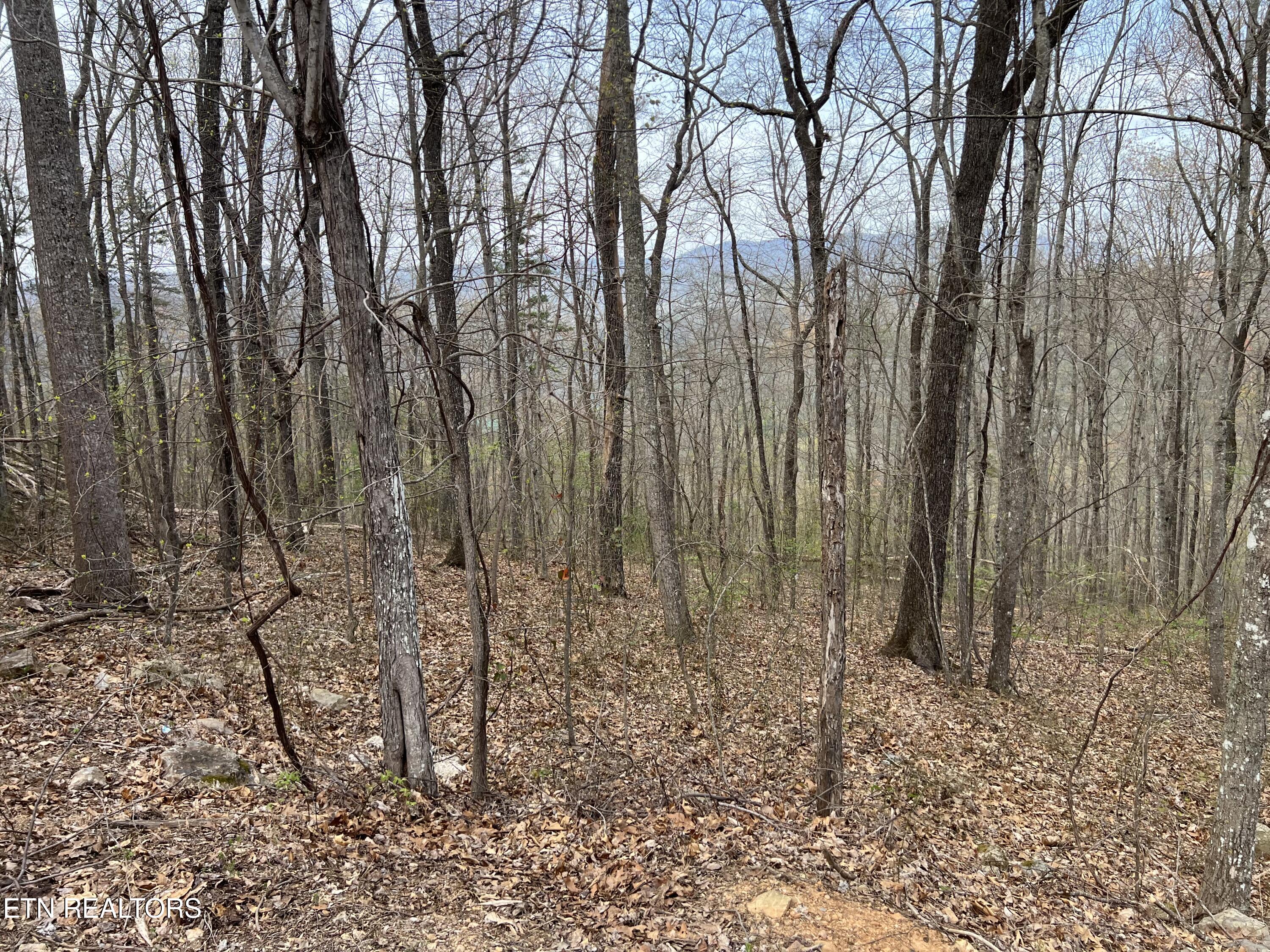Lot 49 Patriot Lane Sevierville TN 37862