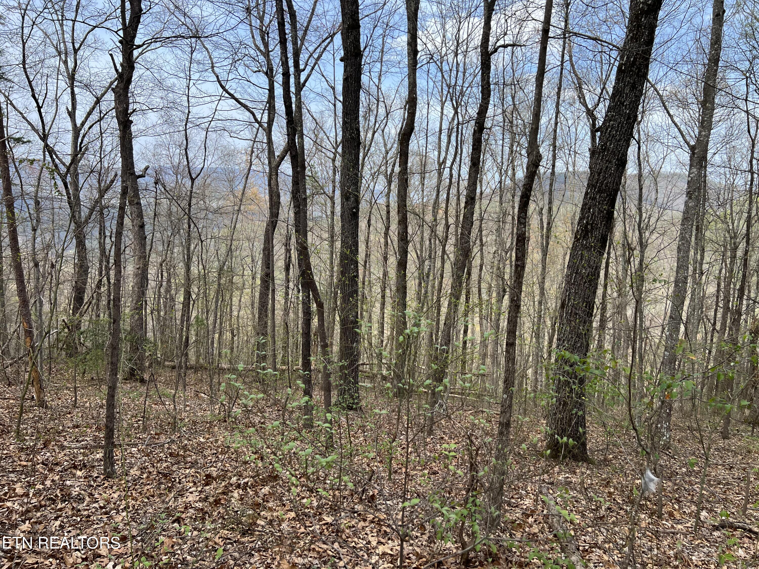 Lot 49 Patriot Lane Sevierville TN 37862