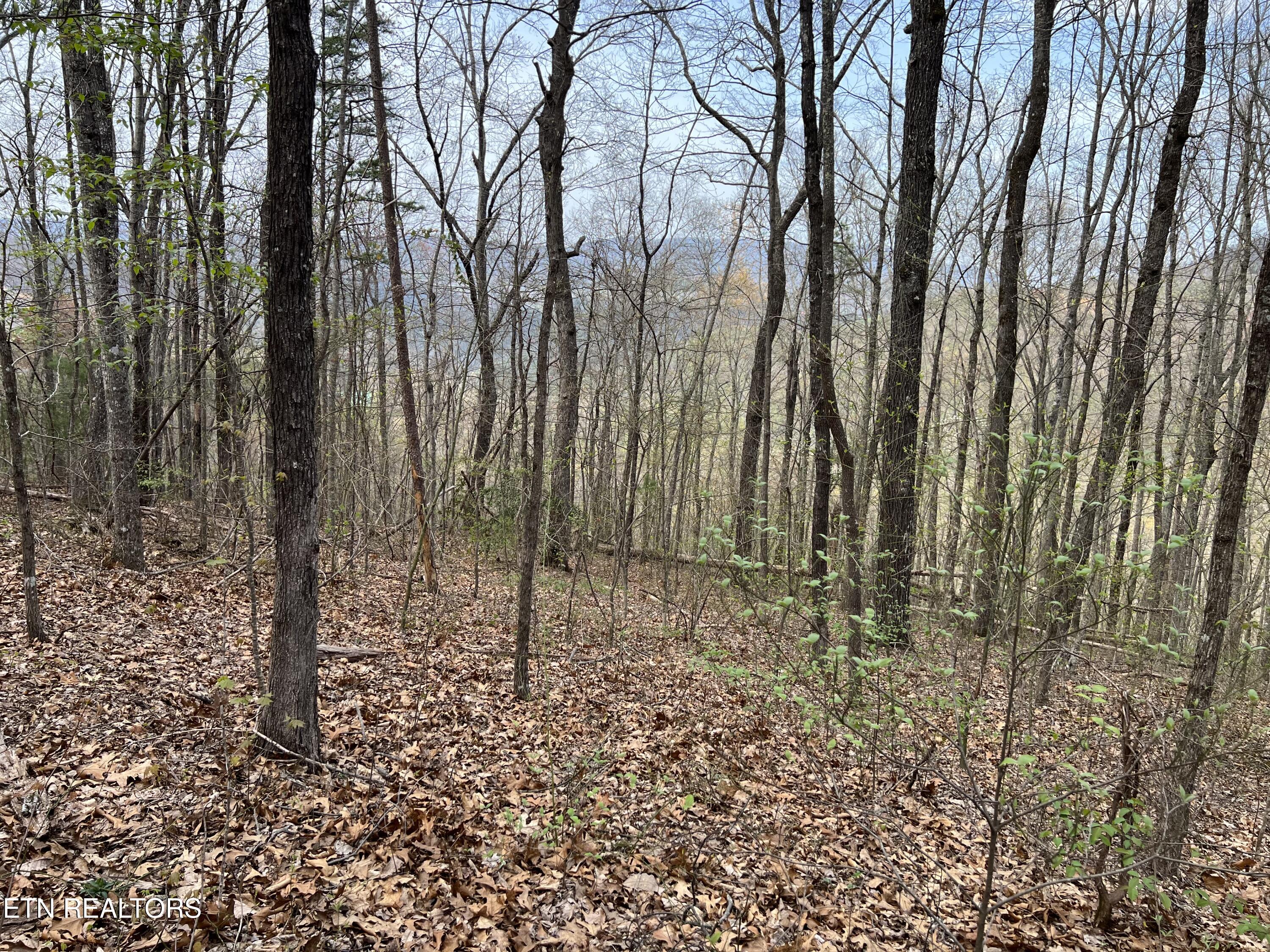 Lot 49 Patriot Lane Sevierville TN 37862