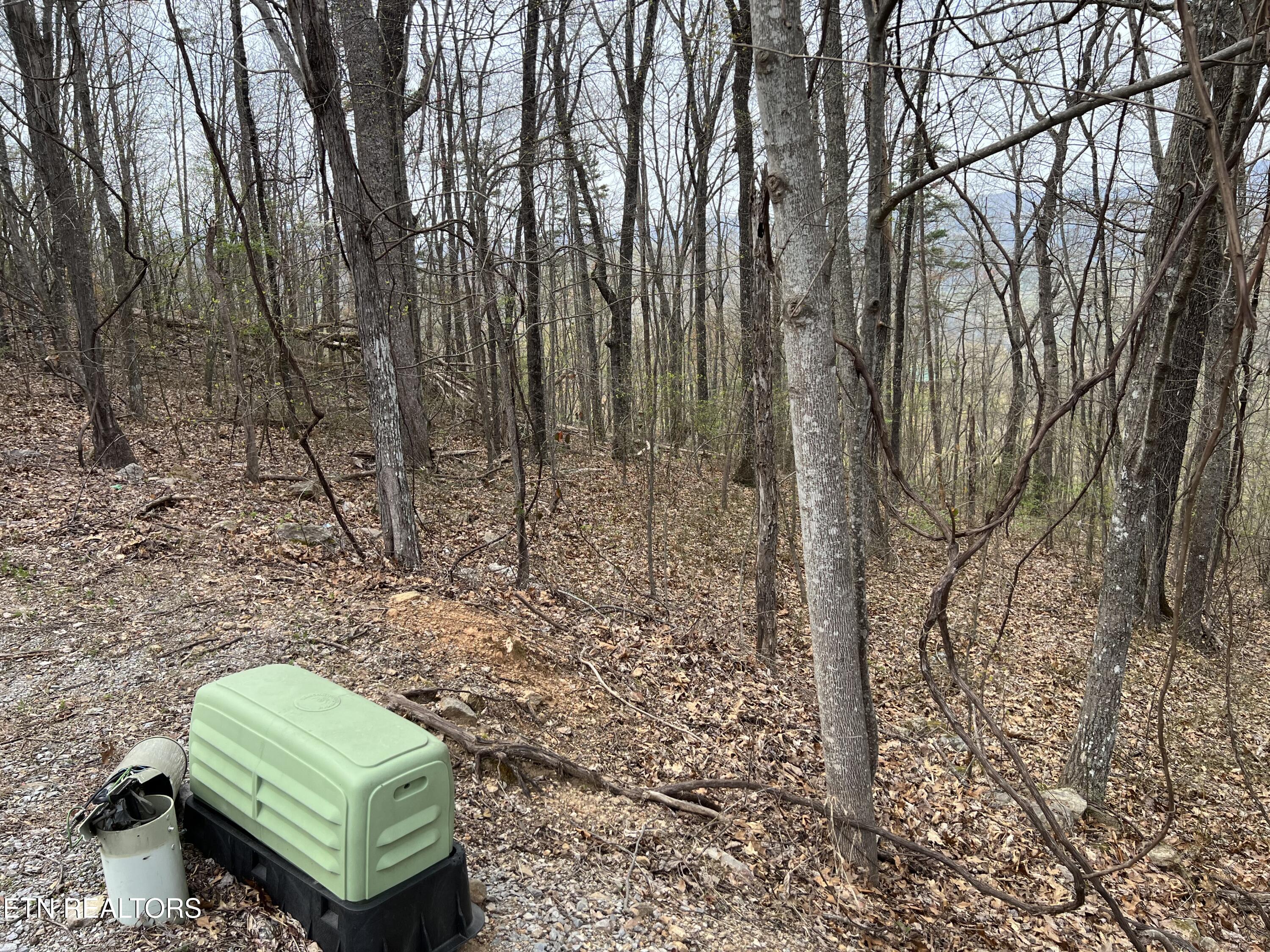 Lot 49 Patriot Lane Sevierville TN 37862