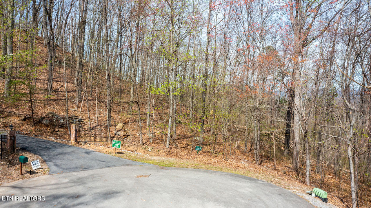 Lot 49 Patriot Lane Sevierville TN 37862
