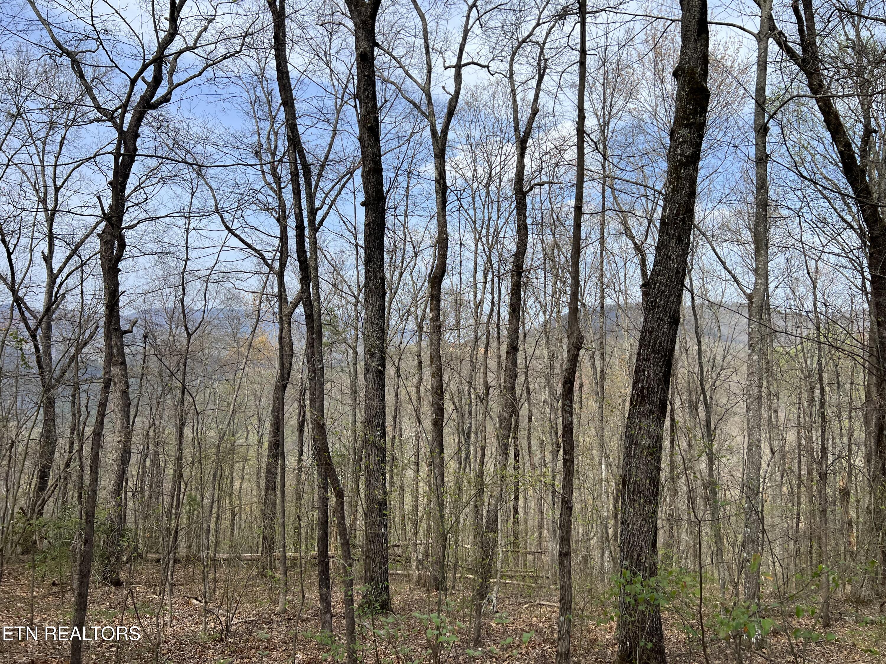 Lot 49 Patriot Lane Sevierville TN 37862