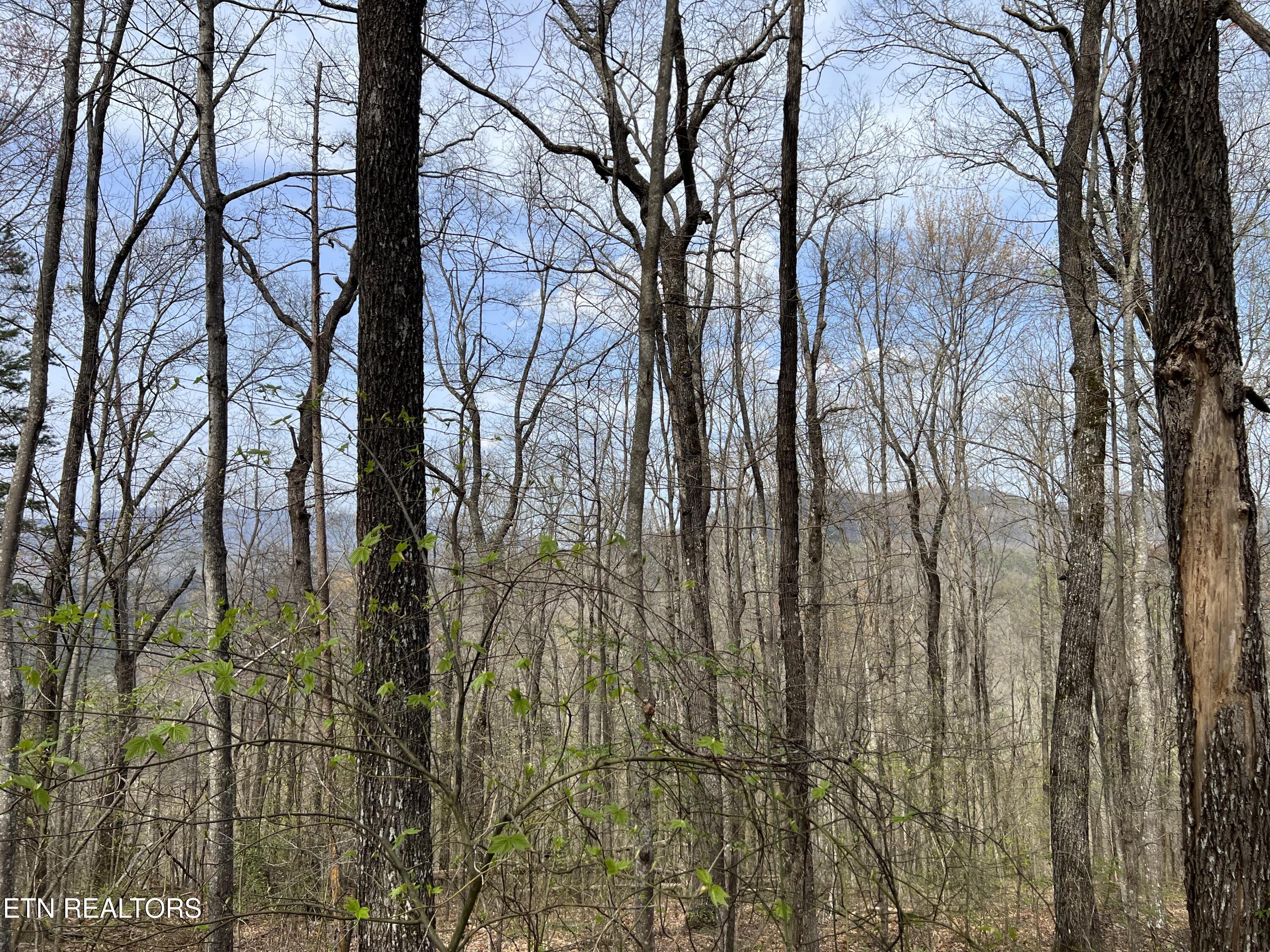 Lot 49 Patriot Lane Sevierville TN 37862