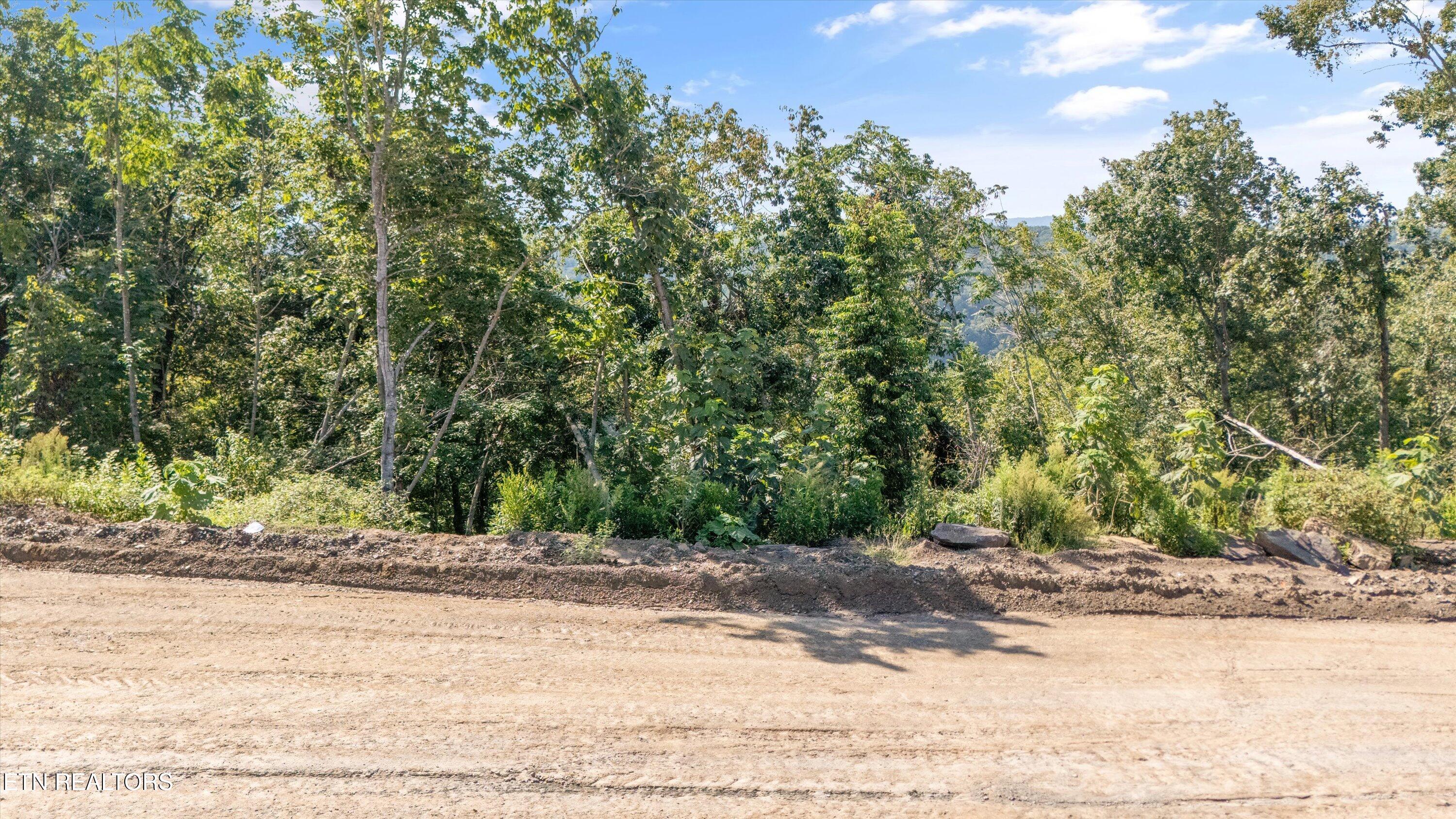 Lot 5b Sommet Ridge East Tazewell TN 37879