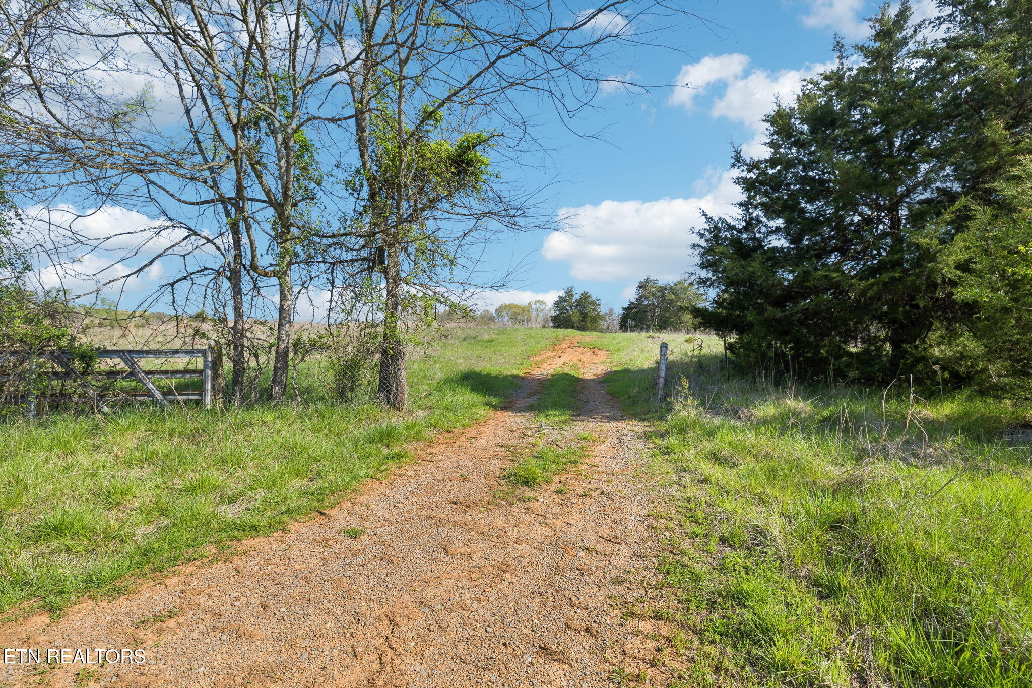 436 Thorngrove Pike Kodak TN 37764