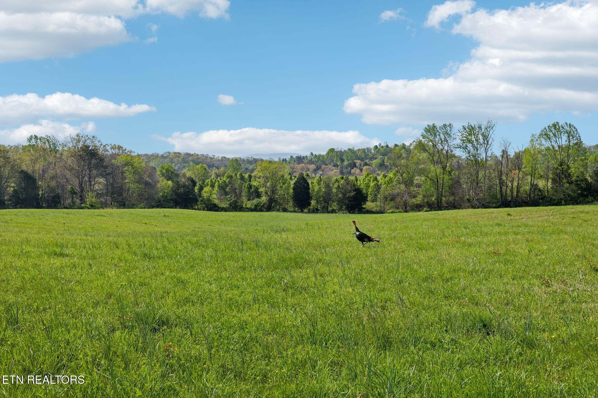 436 Thorngrove Pike Kodak TN 37764