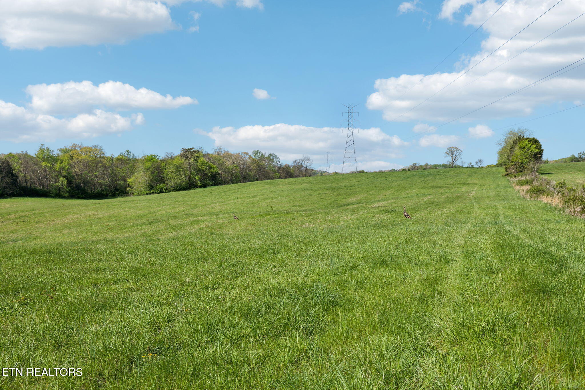 436 Thorngrove Pike Kodak TN 37764
