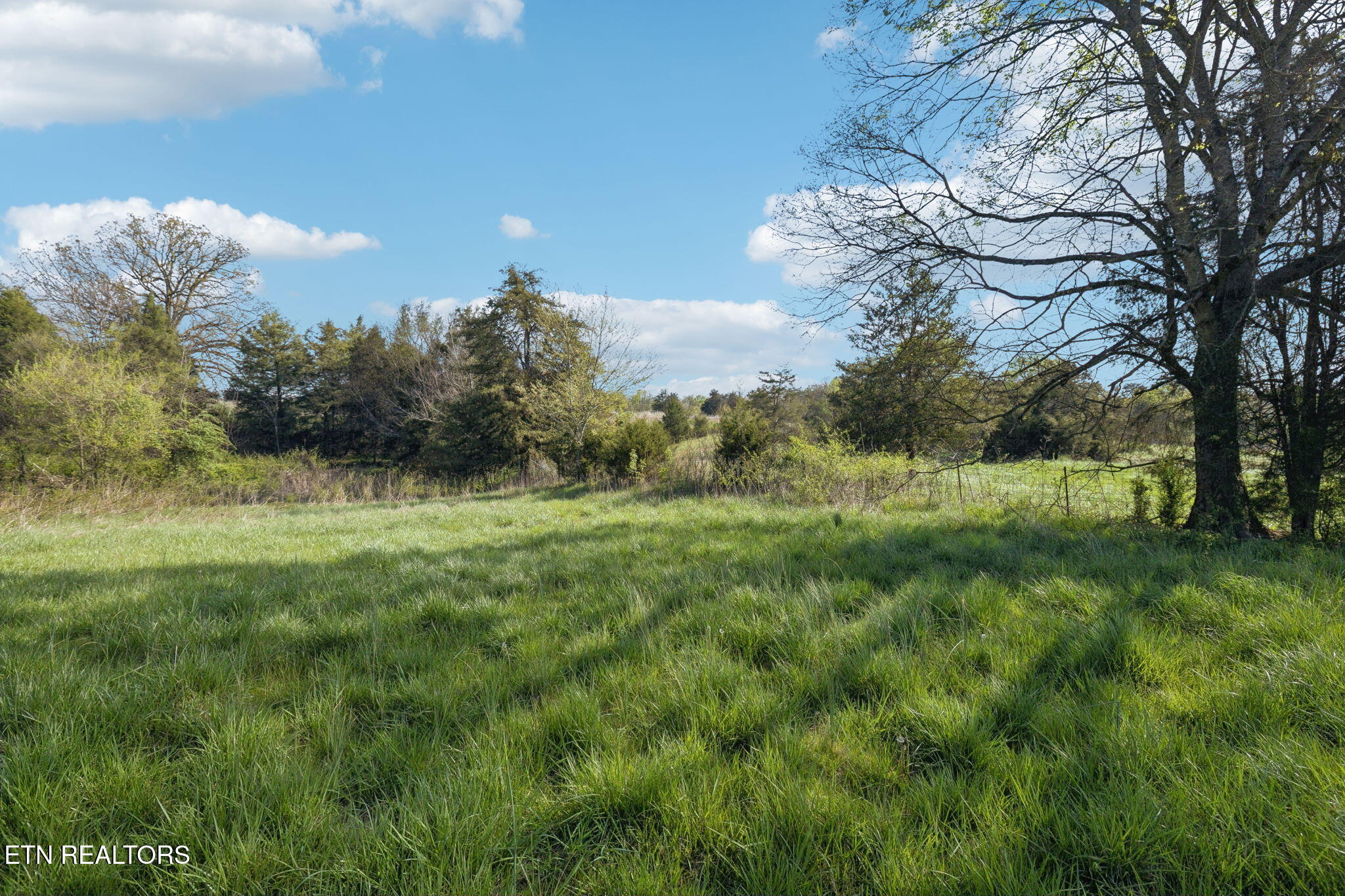 436 Thorngrove Pike Kodak TN 37764