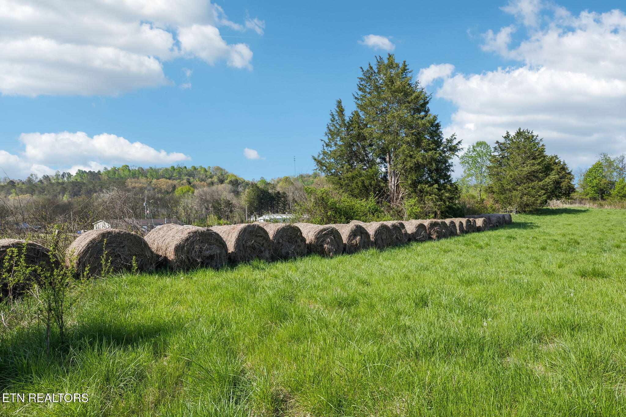 436 Thorngrove Pike Kodak TN 37764