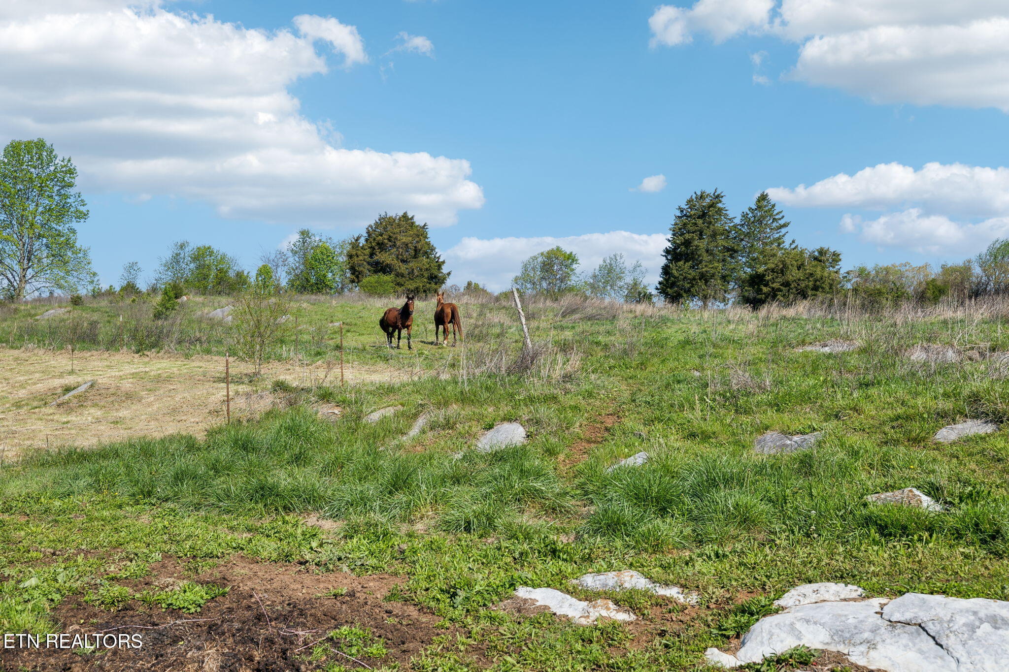 436 Thorngrove Pike Kodak TN 37764