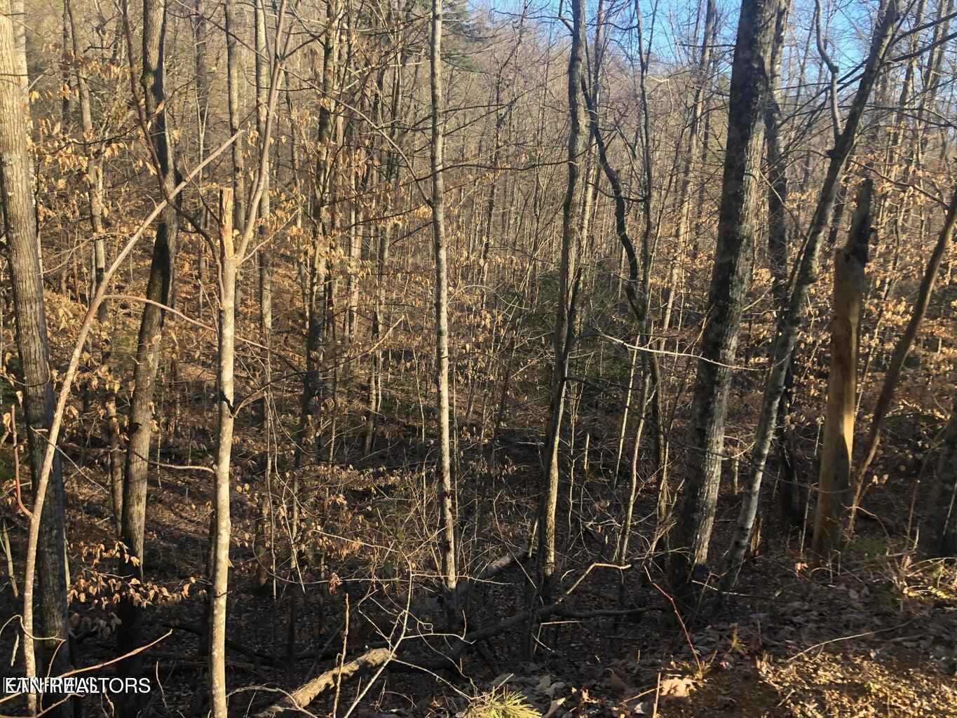 Yellowwood Drive Sevierville TN 37876