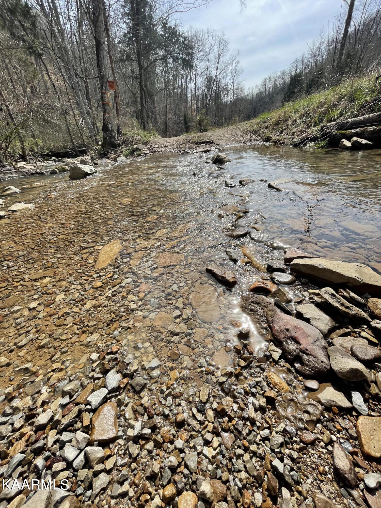 Skaggs Hollow Road Tazewell TN 37879