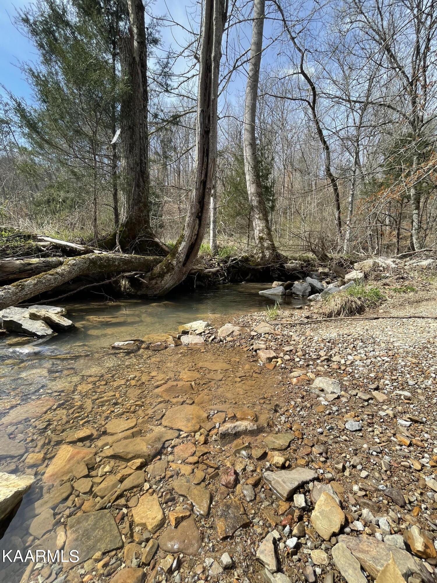 Skaggs Hollow Road Tazewell TN 37879