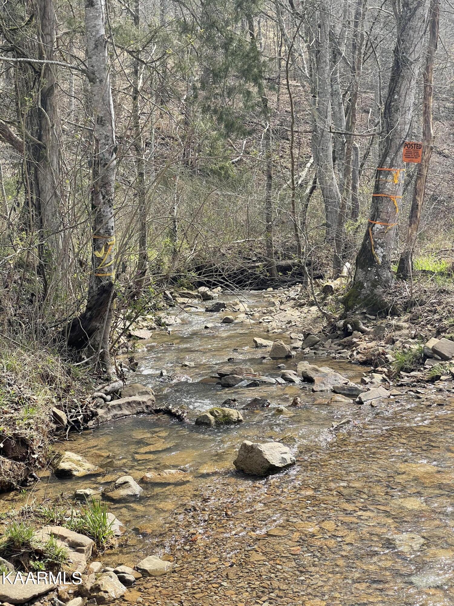 Skaggs Hollow Road Tazewell TN 37879