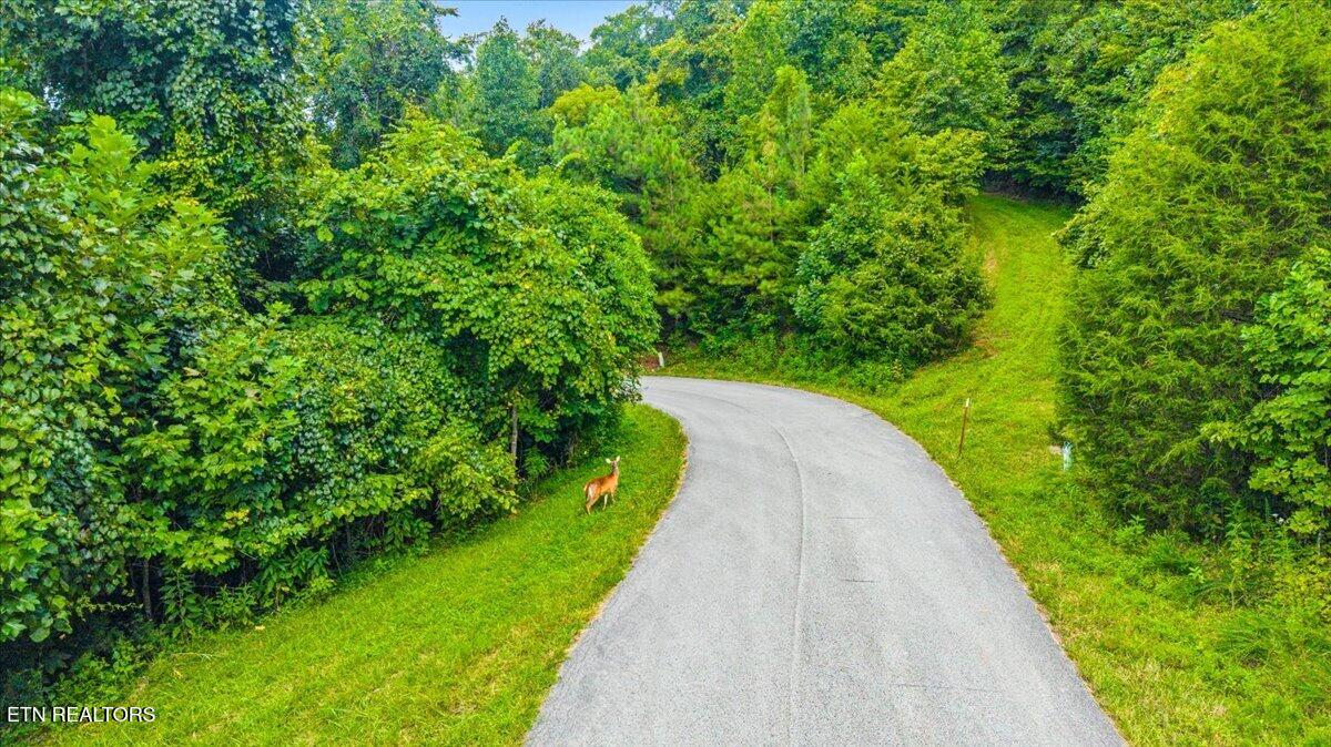 97 Swan Song Trail Sharps Chapel TN 37866