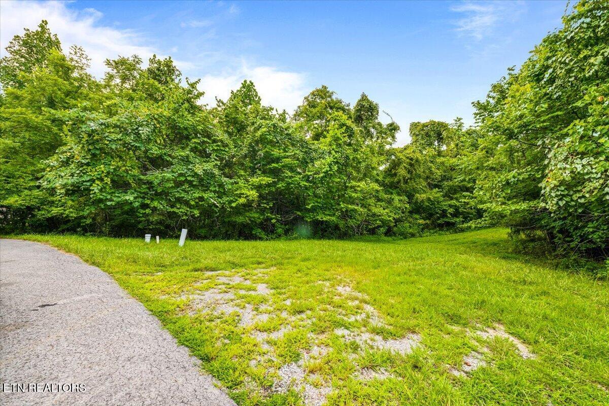 97 Swan Song Trail Sharps Chapel TN 37866
