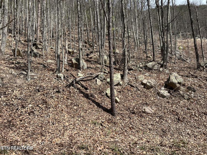Clingmans View Sevierville TN 37876