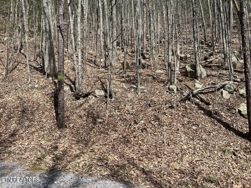 Clingmans View Sevierville TN 37876