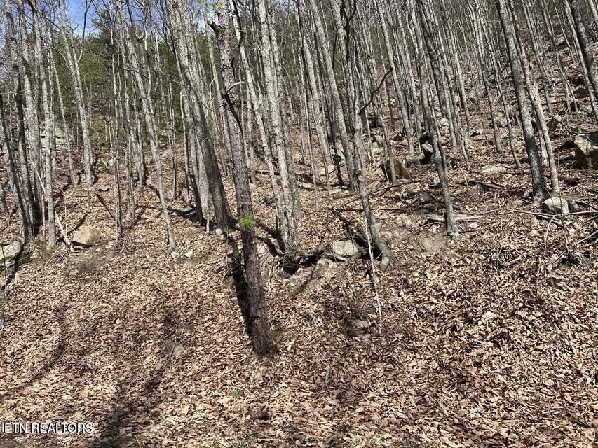 Clingmans View Sevierville TN 37876