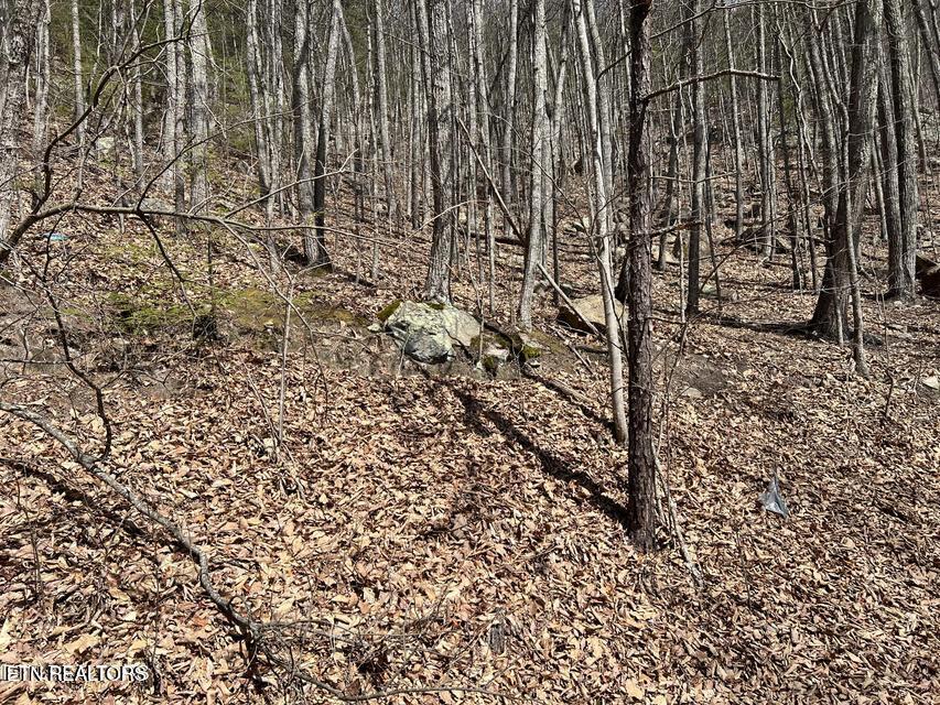 Clingmans View Sevierville TN 37876